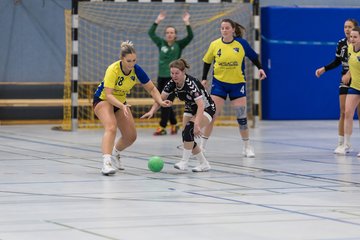 Bild 93 - F HSG Pinnau2 - Rellinger TV2 : Ergebnis: 27:20